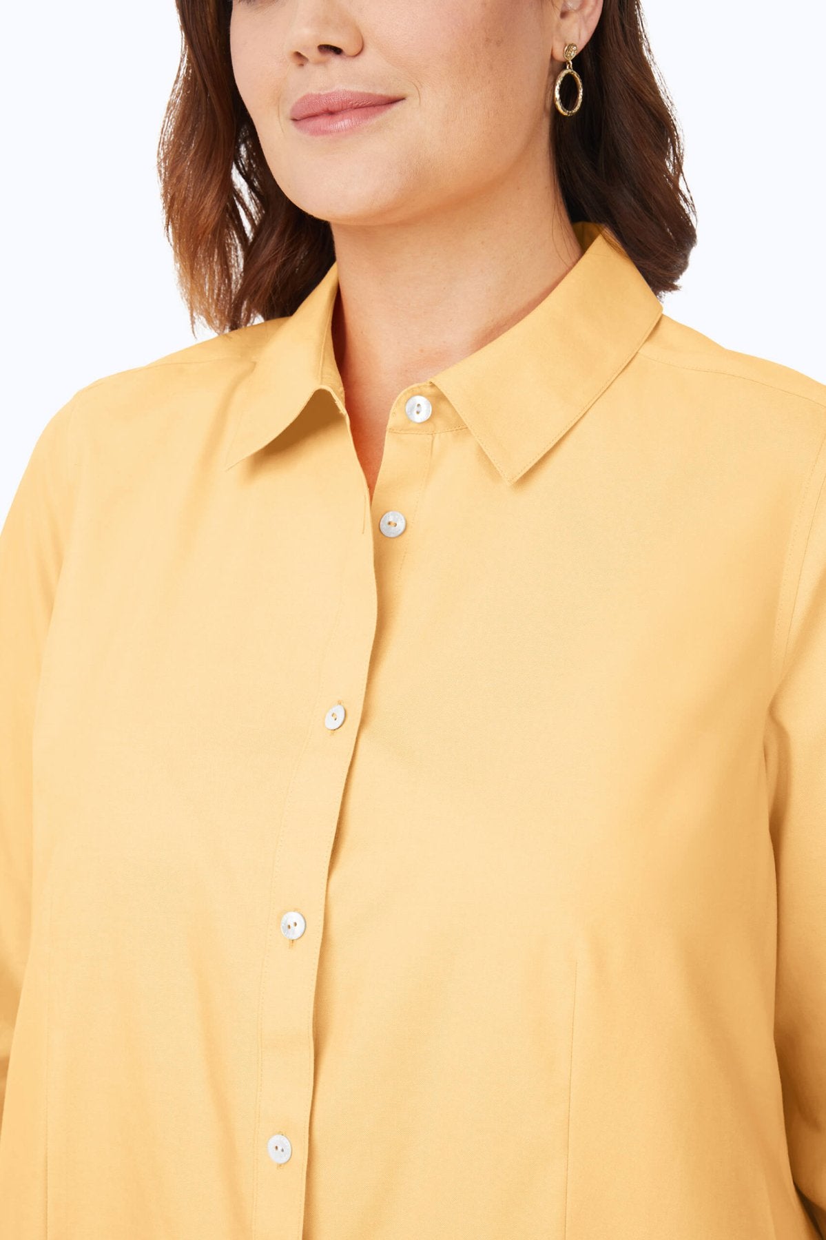 Dianna Plus Essential Pinpoint No Iron Shirt