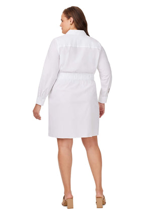 Plus Stretch Non-Iron Dress