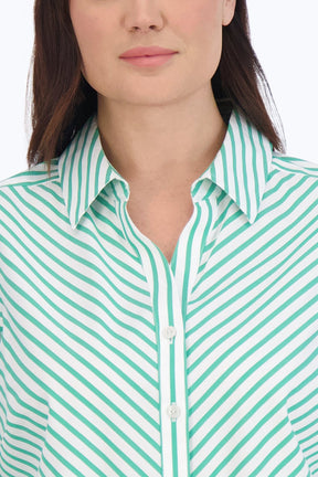 Mary Plus Stretch No Iron Stripe Shirt