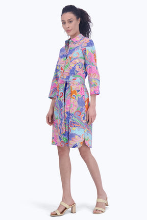 Rocca No Iron Multicolor Paisley Dress