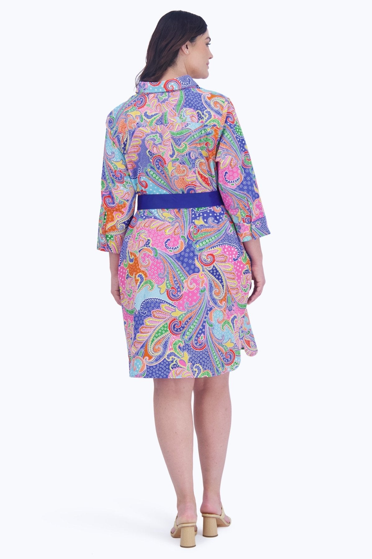 Rocca Plus No Iron Multicolor Paisley Dress